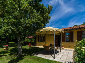 Authentic farmhouse in Castiglion Fiorentino with organic wines Castiglion Fiorentino